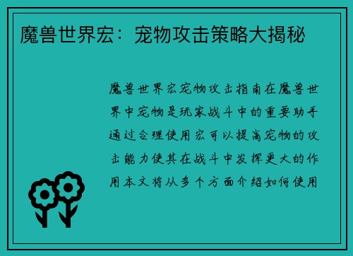 魔兽世界宏：宠物攻击策略大揭秘