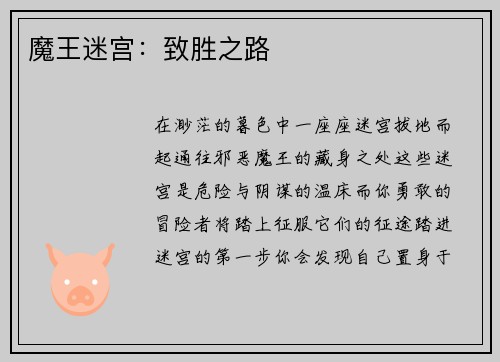 魔王迷宫：致胜之路